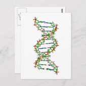 DNA - wetenschap/wetenschapper/biologie Briefkaart (Voorkant / Achterkant)