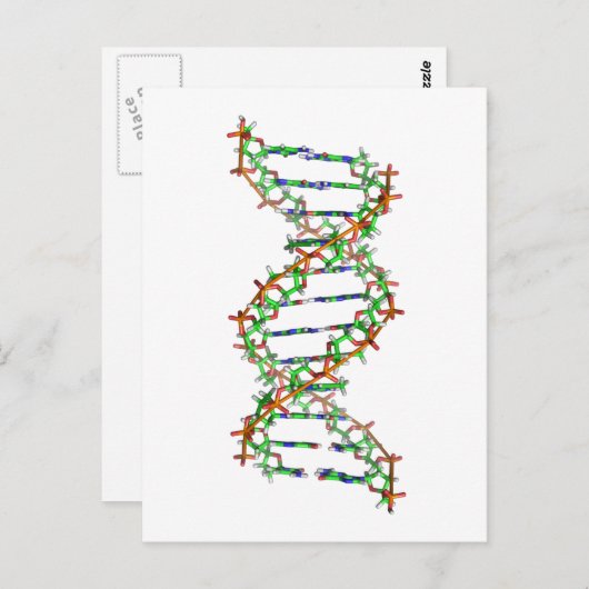 DNA - wetenschap/wetenschapper/biologie Briefkaart (Voorkant / Achterkant)