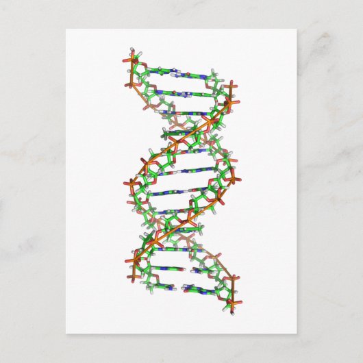 DNA - wetenschap/wetenschapper/biologie Briefkaart (Voorkant)