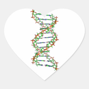 DNA - wetenschap/wetenschapper/biologie Hart Sticker