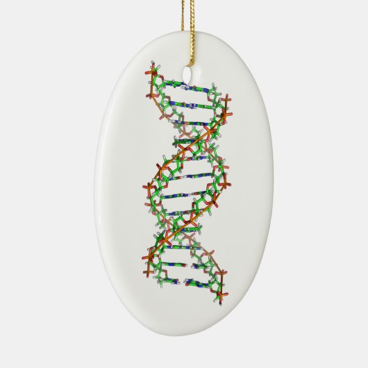 DNA - wetenschap/wetenschapper/biologie Keramisch Ornament (Rechts)