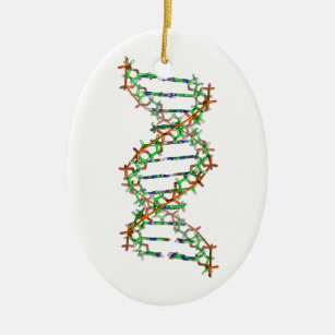 DNA - wetenschap/wetenschapper/biologie Keramisch Ornament