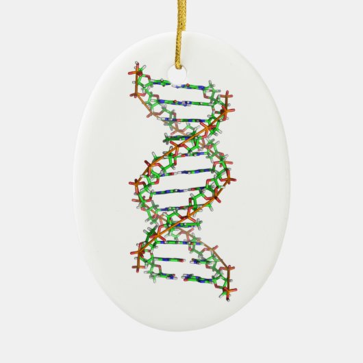 DNA - wetenschap/wetenschapper/biologie Keramisch Ornament (Voorkant)