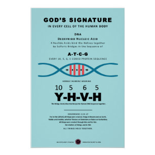DNA-YHVH-code Perfect Poster