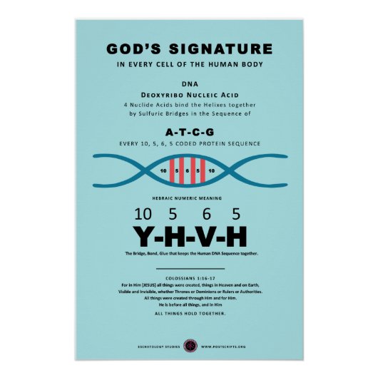 DNA-YHVH-code Perfect Poster (Voorkant)