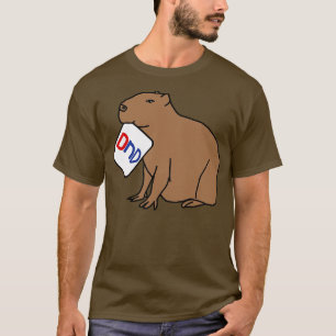 DND Capybara zeggen Niet storen Ik ben Gaming T-shirt