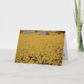 DND Ducks Kaart (Voorkant)