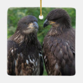 DNN feat. DN17 en DN18 Keramisch Ornament (Achterkant)