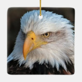 DNN feat. DNB Keramisch Ornament (Achterkant)