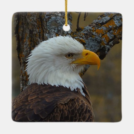 DNN feat. Mr North Keramisch Ornament (Achterkant)