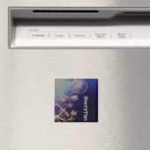 D'n'P Band Magneten (Insitu (Vaatwasser))