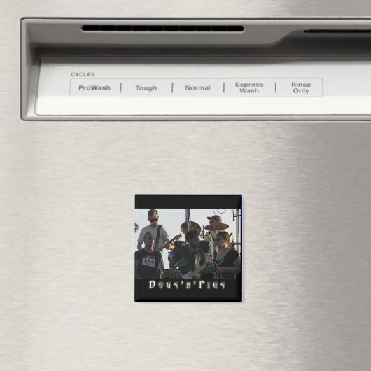 D'n'P Band Magneten 2 (Insitu (Vaatwasser))