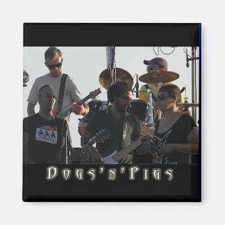 D'n'P Band Magneten 2