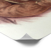 Do-Hon-Go, een Osage Woman Poster (Hoek)