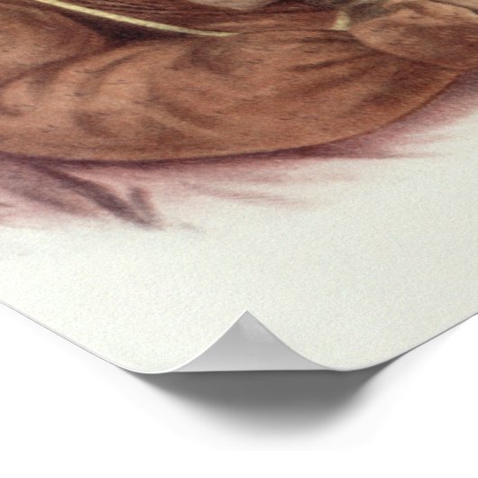 Do-Hon-Go, een Osage Woman Poster (Hoek)