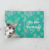 Do I Smell Cake Cute kitten Birthday Card Kaart (Binnen)