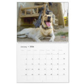 "DO NOT PET" - Amerikaanse militaire werkkalender Kalender (Jan 2026)