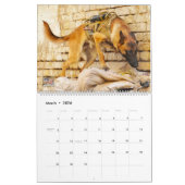 "DO NOT PET" - Amerikaanse militaire werkkalender Kalender (Mar 2026)