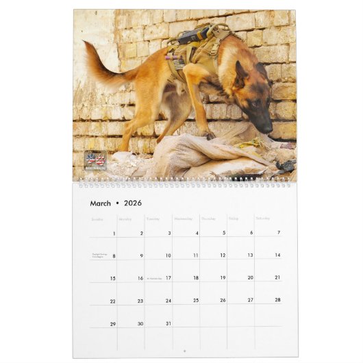 "DO NOT PET" - Amerikaanse militaire werkkalender Kalender (Mar 2026)