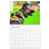 “DO NOT PET” - US Military Working Dogs Calendar Kalender (Mar 2026)