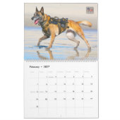 “DO NOT PET” - US Military Working Dogs Calendar Kalender (Feb 2027)