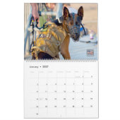 “DO NOT PET” - US Military Working Dogs Calendar Kalender (Jan 2027)