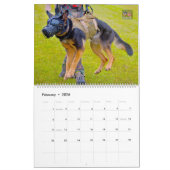 “DO NOT PET” - US Military Working Dogs Calendar Kalender (Feb 2026)