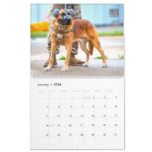“DO NOT PET” - US Military Working Dogs Calendar Kalender (Jan 2026)