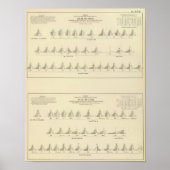 Doaf en Mutisme, statistische Amerikaanse lithogra Poster (Voorkant)