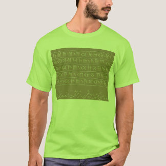 Doaye kouroshe kabir ba khaat mikhi t-shirt