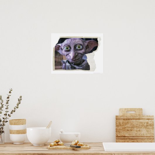 Dobby 1 poster (Keuken)