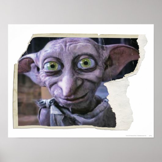Dobby 1 poster (Voorkant)