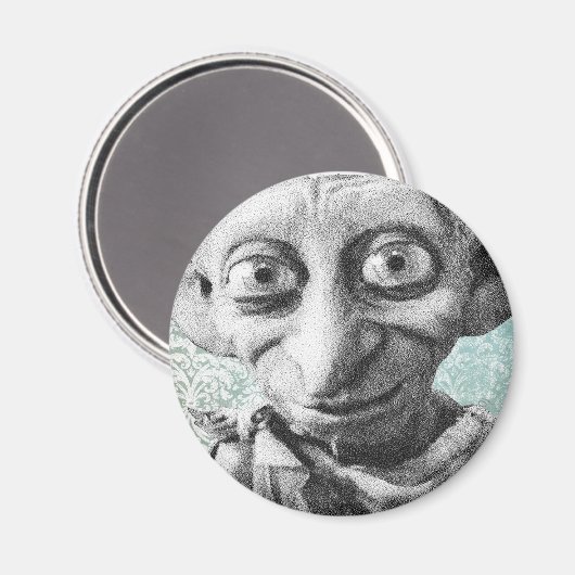 Dobby 4 magneet (Voorkant / Achterkant)