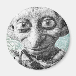 Dobby 4 magneet