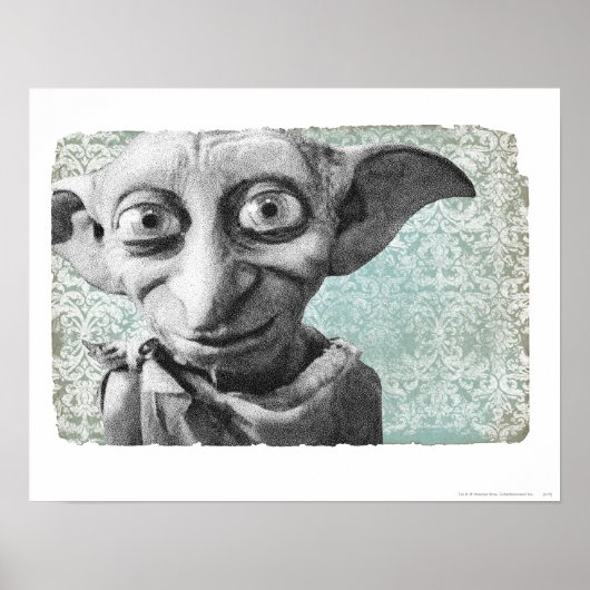 Dobby 4 poster (Voorkant)