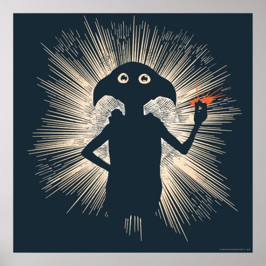 Dobby Casting Magic Poster (Voorkant)