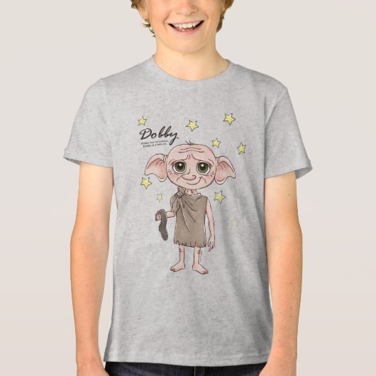 Dobby-watercolor karakterkunst Tri-Blend shirt (Voorkant)