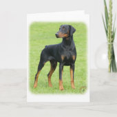 Doberman 9P99D-47 Kaart (Voorkant)