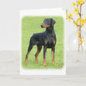 Doberman 9P99D-47 Kaart (Gele Bloem)