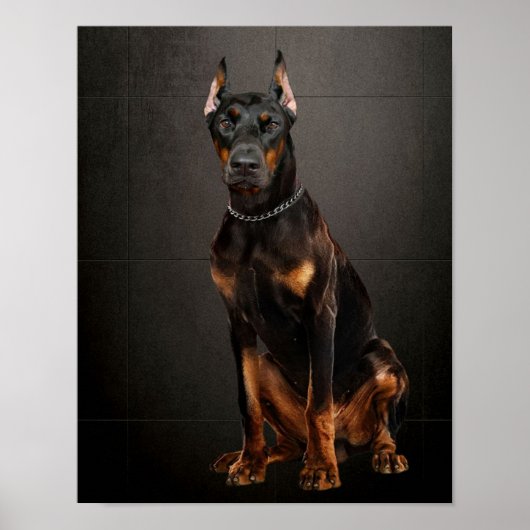 Doberman Betrouwbare Garde Dog Poster (Voorkant)