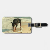 Doberman bij het Afbeelding voor het verven van he Bagagelabel (Voorkant horizontaal)