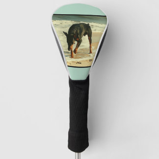 Doberman bij het Afbeelding voor het verven van he Golfheadcover