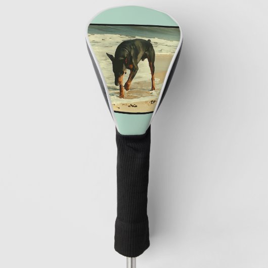 Doberman bij het Afbeelding voor het verven van he Golfheadcover (Voorkant)