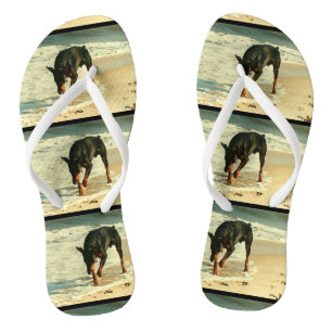 Doberman bij het Afbeelding voor het verven van he Teenslippers