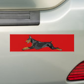 Doberman, Black Bumpersticker (Op auto)