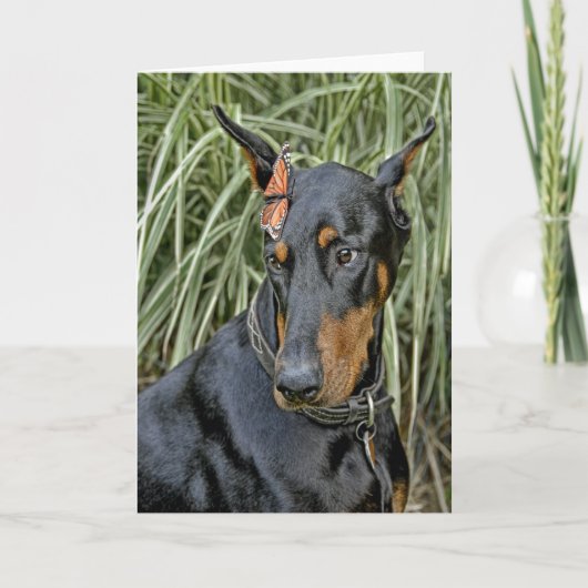 Doberman Butterfly Surprise Kaart (Voorkant)