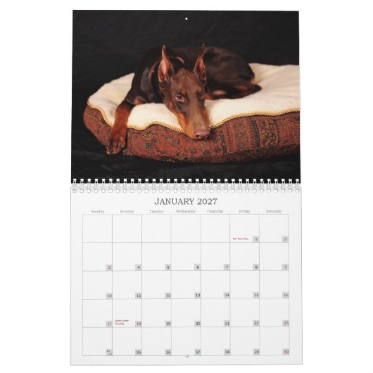 Doberman Calendar Kalender (Jan 2027)