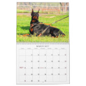 Doberman Calendar Kalender (Mar 2027)