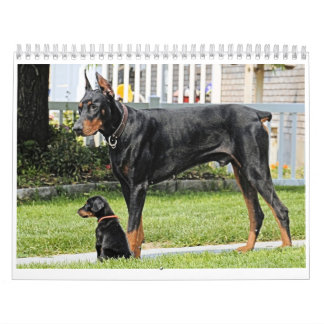 Doberman Calendar Kalender