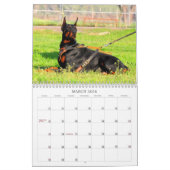 Doberman Calendar Kalender (Mar 2026)